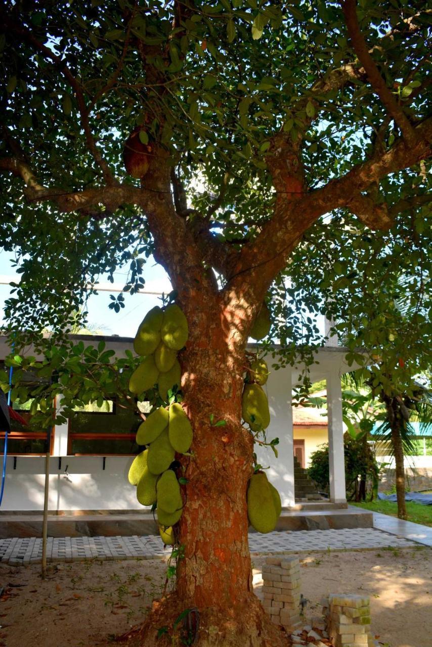 Gatetrees Resort Jaffna Exterior photo